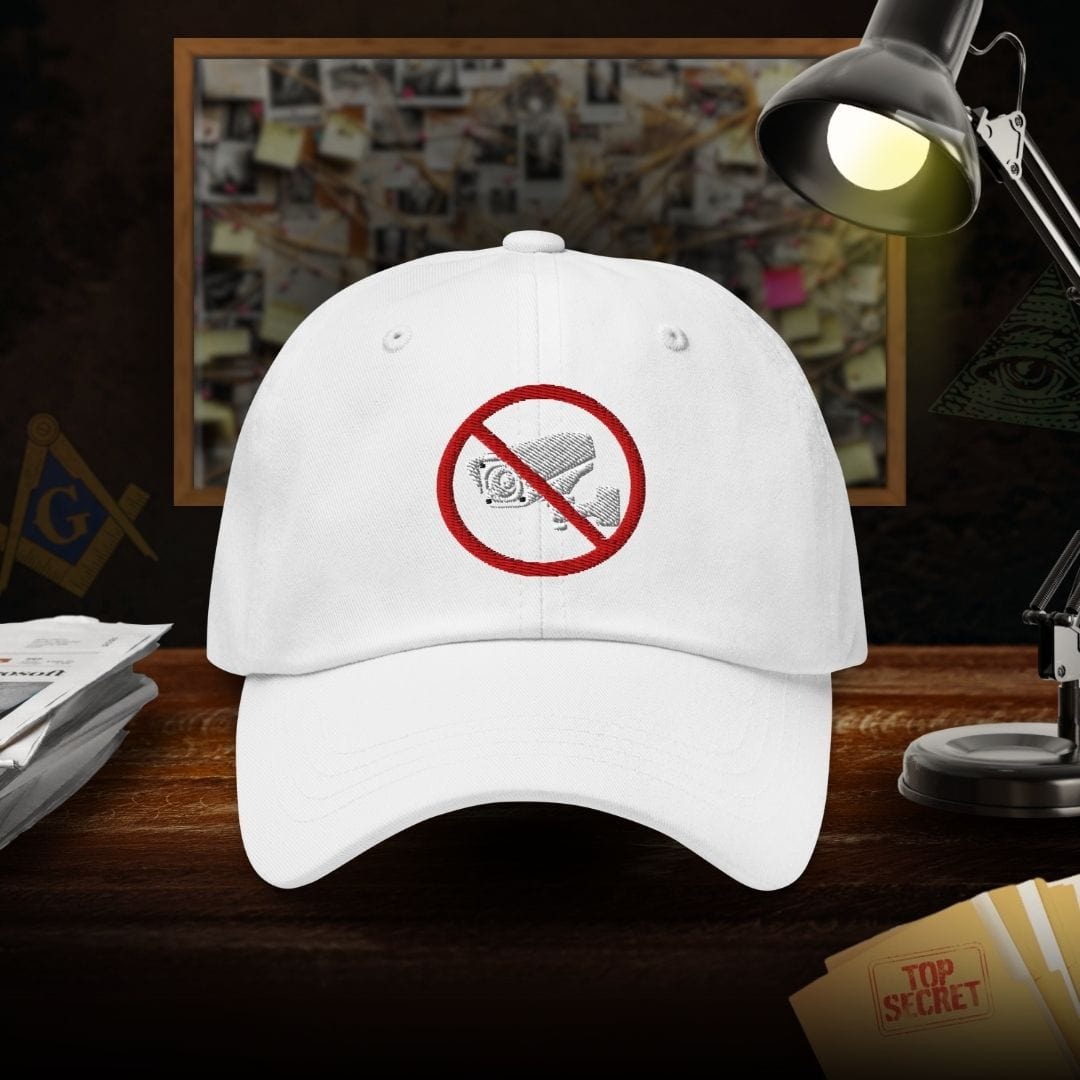 No To Surveillance Dad Hat